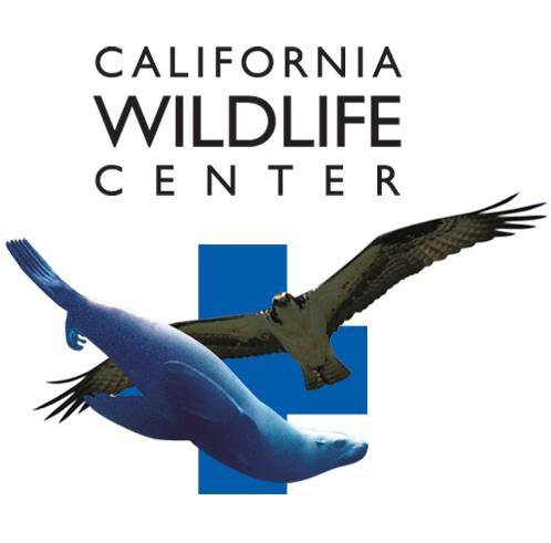 California Wildlife Center