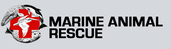 Marina Animal Rescue